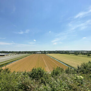 duin en bollenstreek puzzeluitje
