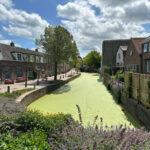 groene hart puzzeluitje