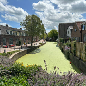 groene hart puzzeluitje