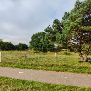 noordhollandse duin puzzeltocht