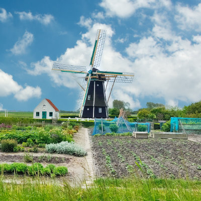 autopuzzeltochten zeeland routes