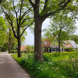 zuidwest drenthe route dagje weg