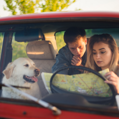 weekendje weg met hond puzzeluitje