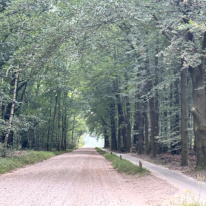 veluwe xl navigatie route