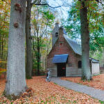 brabantse bos en duin fietsroute