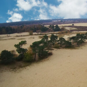 brabantse bos en duin fietstocht