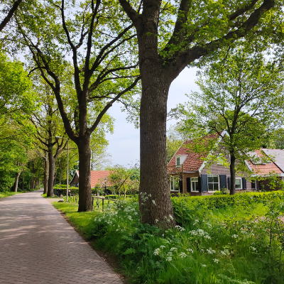 Autopuzzeltocht Drenthe puzzeluitje