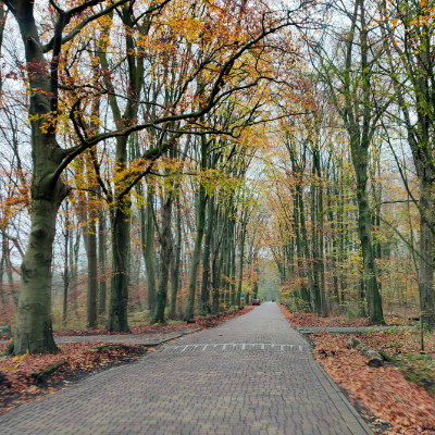 autopuzzeltocht gelderland puzzeluitje