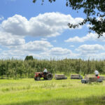 betuwe xl navigatie route